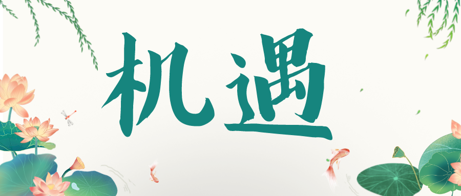 轉(zhuǎn)型低代碼怎么賺錢(qián)？看看他們的思路